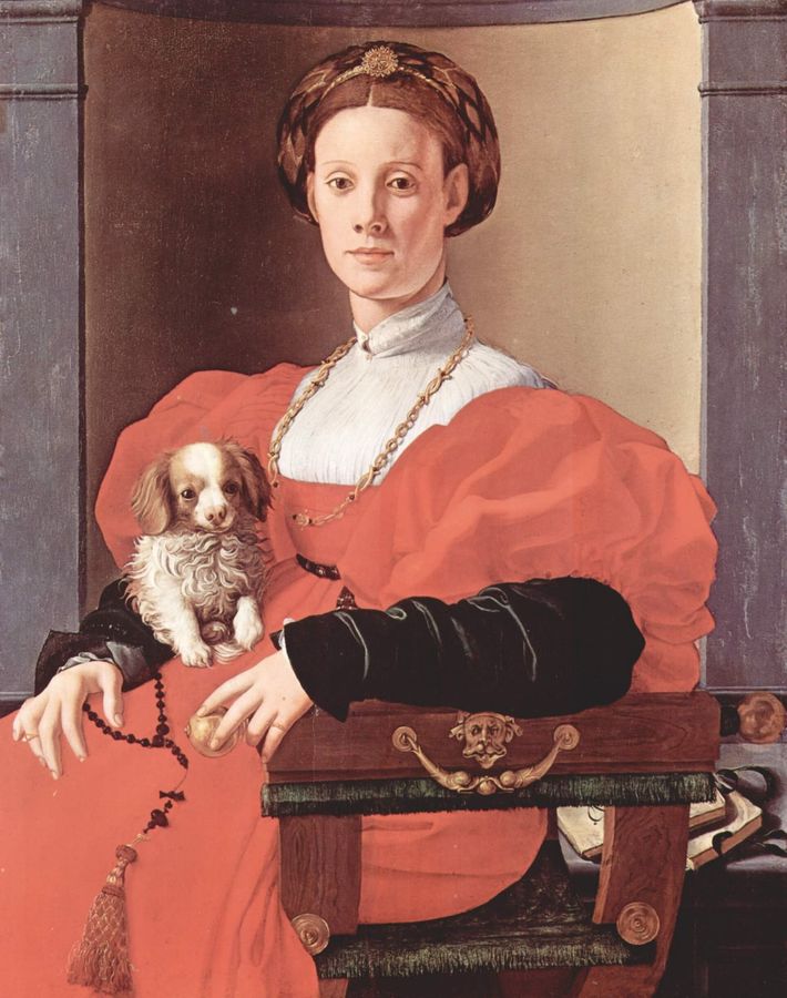 Polish: Dama z pieskiem Portrait of a Lady in Red (Francesca Salviati?)
