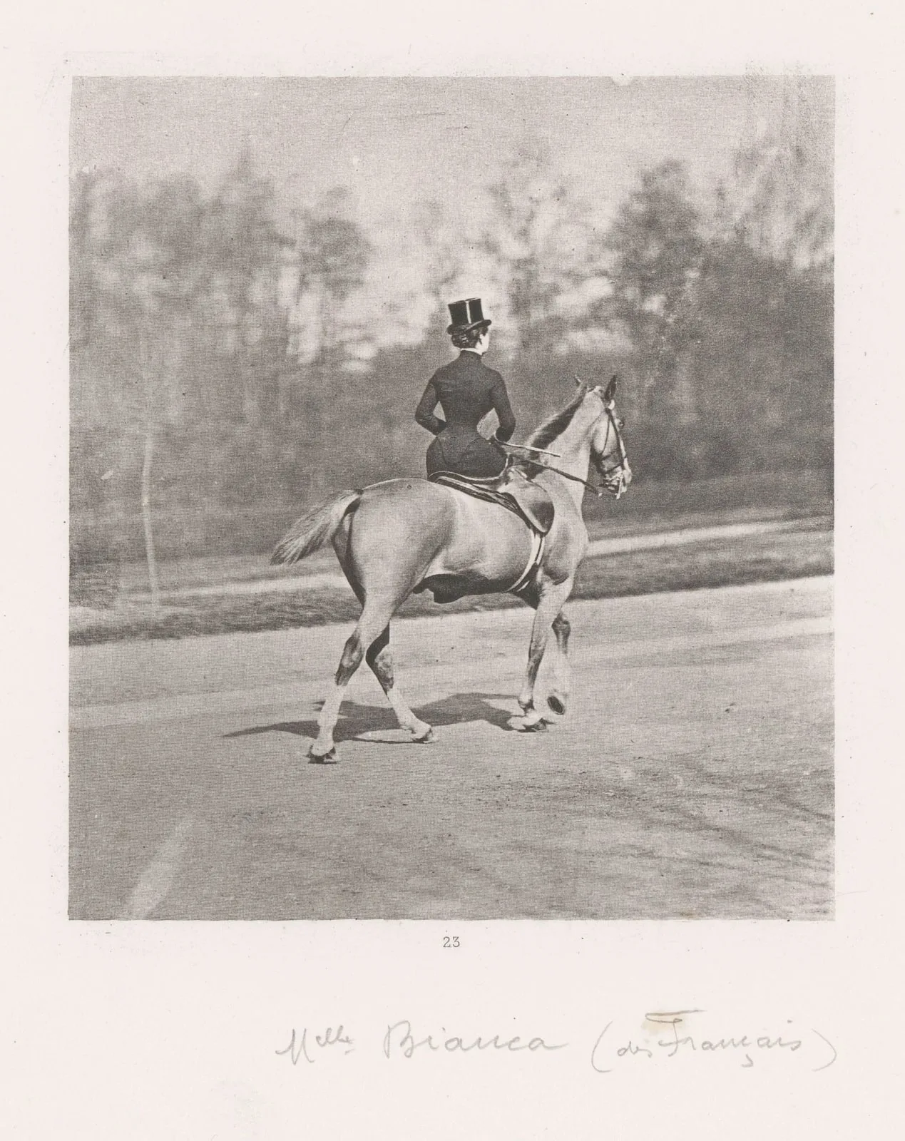 Amazone te paard op de rug gezien, RP-F-2001-7-1205-24